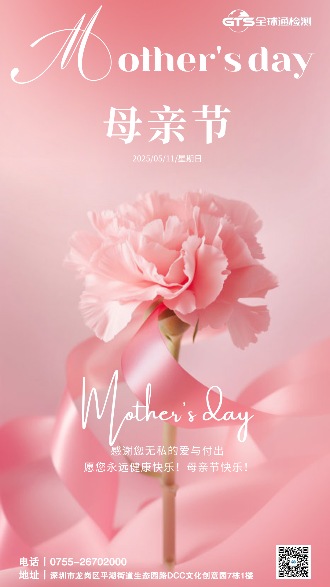 粉色康乃馨花卉母親節(jié)節(jié)日手機(jī)海報(bào).jpg